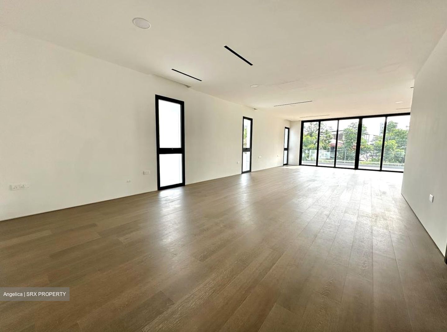 Henry Park (D10), Detached #522710051